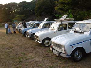 �L���g���������݂�ȓ���