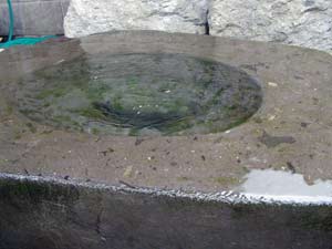 �Y�_�����N���Ă��܂�