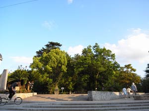 �������