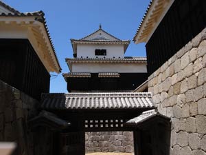 ���������V��t