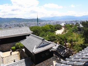 �V��t����̒���